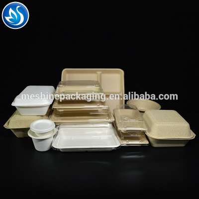 Disposable Biodegradable Cornstarch Food Container